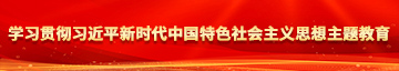 欧美操逼大奶子操逼穴里学习贯彻习近平新时代中国特色社会主义思想主题教育